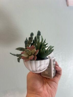 Bath & Body Works Succulent Wallflower Plug, Brand New